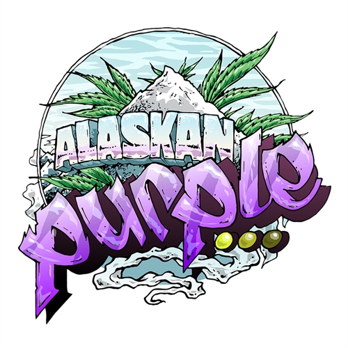Alaskan Purple Auto Skunkfrø Feminiseret