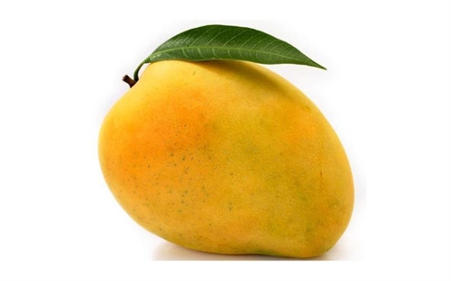 Mango Frugt & Cannabis – Boost din skævert